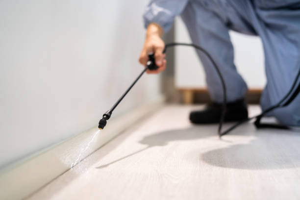 Licensed Pest Control service in Brookhaven, WV - Show Me Pest Control